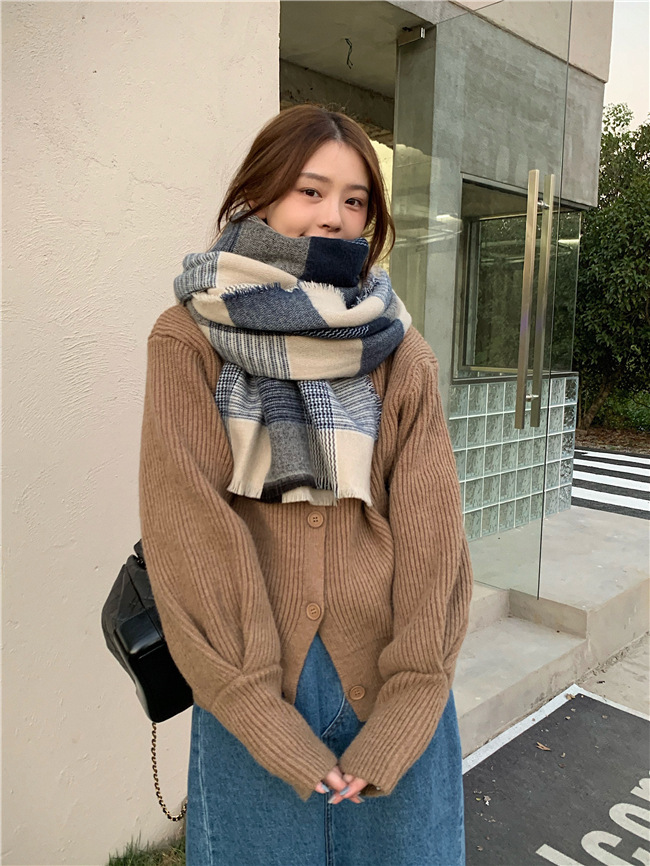 Sciarpa a quadri blu bianco super morbida per le donne in autunno inverno, spessa e calda, sciarpa in imitazione cashmere, coreana_voghion.com