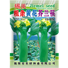 �����֗l�S�����m��N�� �֗l���m�N�� ��ೱ�ǽ��m ԭ�b20��