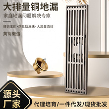 �S�����l�L�l��ȫ�~��©������������ԡ�N���l���g��©�������x