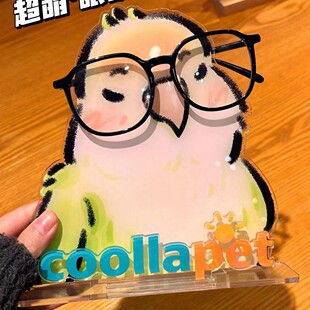 Cute Parrot Glasses Frame High-value Acrylic Glasses Stand Multi-functional Brand Desktop Glasses Storage Rack