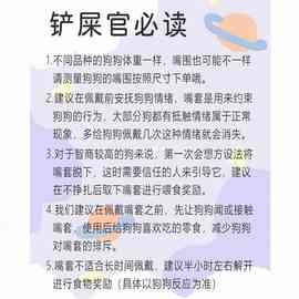 狗嘴套防乱吃防乱叫大型犬防咬可调节防叫套柯基拉布拉多狗狗嘴罩