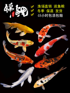 �\���~���~�^�p�~���N���ͼt����ˮ��ˮ���B�ͻ���~�t���~С�~��