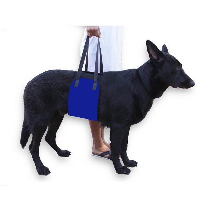 Senior And Disabled Dog Assist Harness For Rehabilitation Exercise And Stair Climbing Assistance_voghion.com