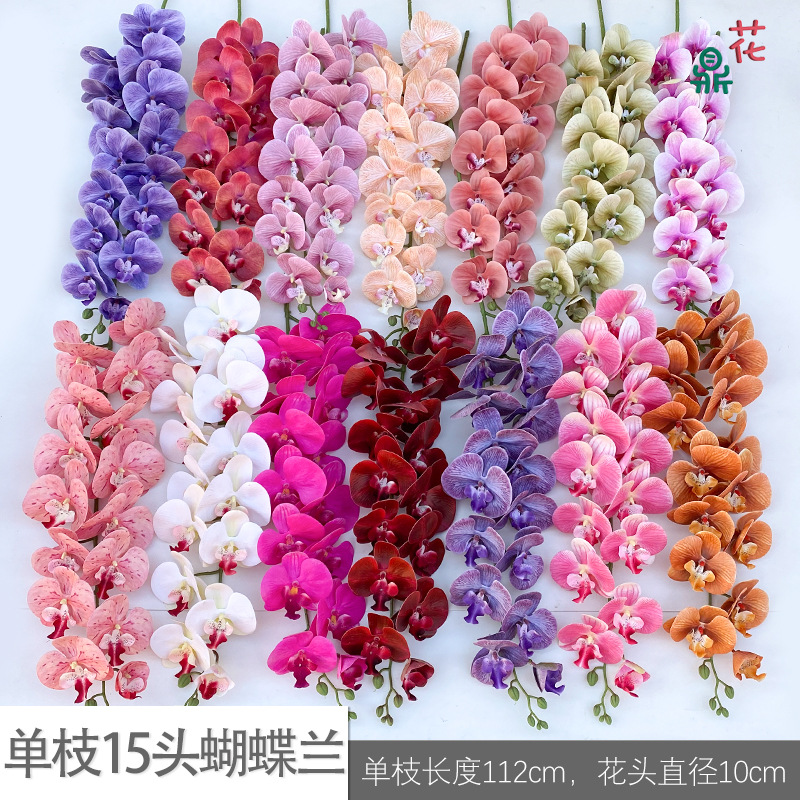 15 Phalaenopsis single branches 21 heads of Phalaenopsis wedding…