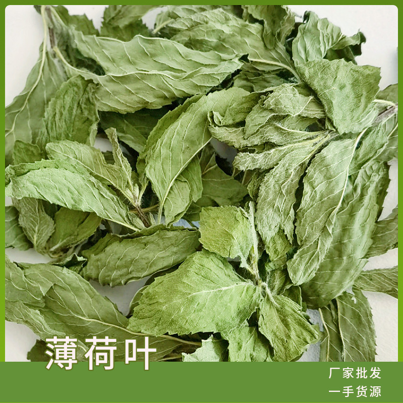 批发薄荷叶薄荷茶基地直供新货上市薄荷叶颗粒茶花草茶|ru