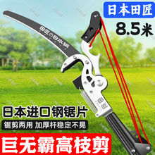 �ձ��ｳ��֦���߿ռ���֦���s�߿���֦����֦���^��@����֦�