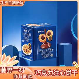 藤野一村巧克力注心曲奇饼干网红办公室下午茶点心礼盒装248g批发