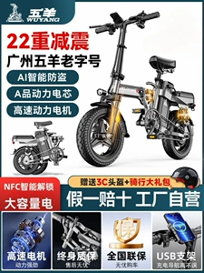 Folding Electric Bicycle, Ultra-Light Portable E-Bike