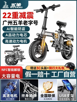 Auto Parts and Accessories, Wuyang Portable E-Bike