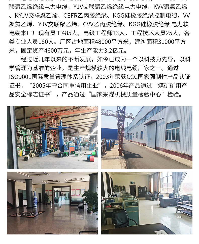 黄绿光伏接地线详情_17