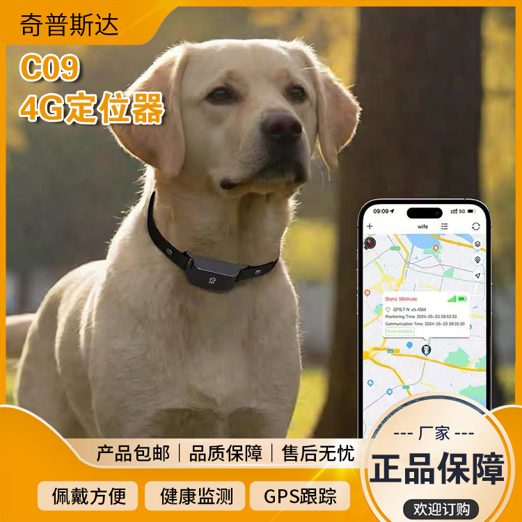 4G localizador fabricante de collar de perro GPSLBS rastreo de localización de perro rastreo de collar de gato C094G P65