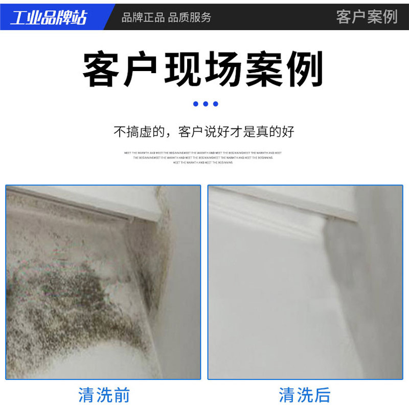 超強仕JX-437壁体カビ除去剤卸売り天井天井天井カビ除去液木材カビ除去剤|undefined
