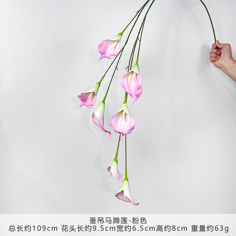 KR-垂吊马蹄莲-粉色