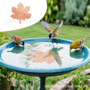 �羳�¿� Maple Leaf Bird Bath Purification���~�����Bԡ�����P