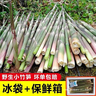 2025����Ұ����S�������rС��S�ք���S��S���r�F�άF�l���S