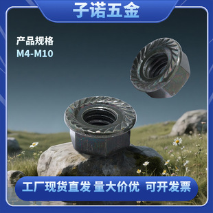 �����F؛܊�Gɫ���Ƿ��m����ĸ ̼��4.8�������X�����Ƿ��m��ĸ