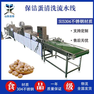 定制全自动双排洗蛋机 养殖场鸡鸭蛋类大型清洗机 泥包蛋去泥洗蛋