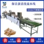 双排大型定制自动洗蛋机