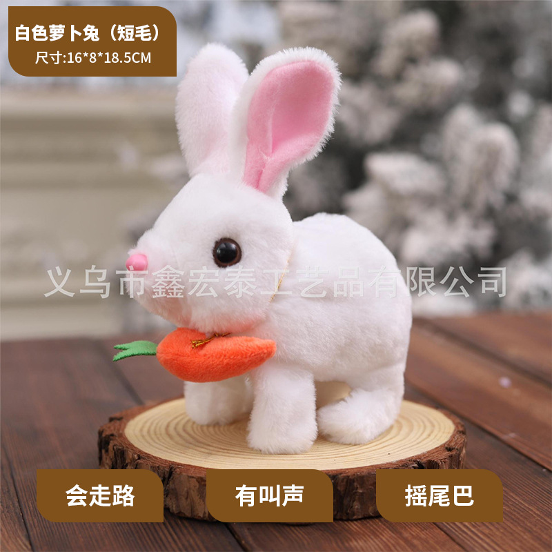 Conejo de rábano blanco (hair corto)