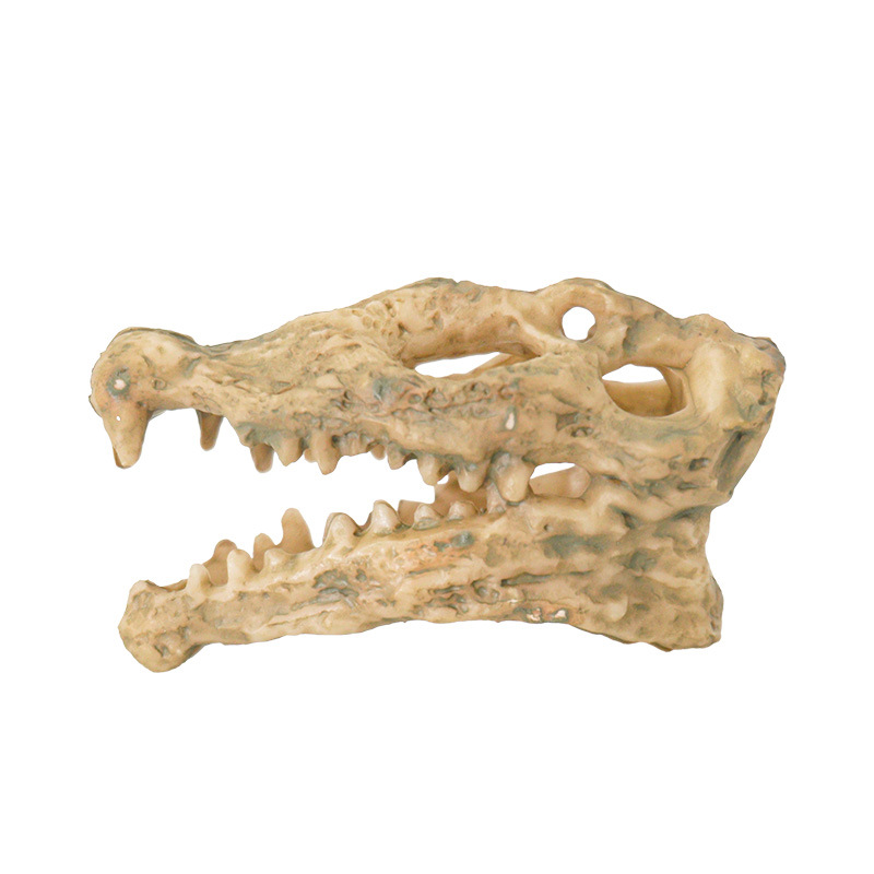 Nueva Decoración Creativa para Peceras con Calaveras de Oveja y Tiburón, Adornos Artesanales, Reliquias de Tiranosaurio Rex