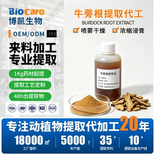 提取代加工 牛蒡根提取物浸膏浓缩液中药萃取水沉离心喷雾干燥1kg