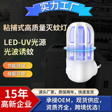 ���ß�����������ÿɳ����x���������o��냺�ЋD���ßo���h��