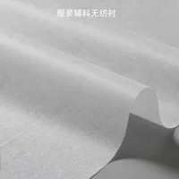 Готовая подкладка из нетканого материала, моющаяся двухточечная нетканая подкладка для глажки, подкладка для аксессуаров для одежды, подкладка из нетканого материала для одежды.