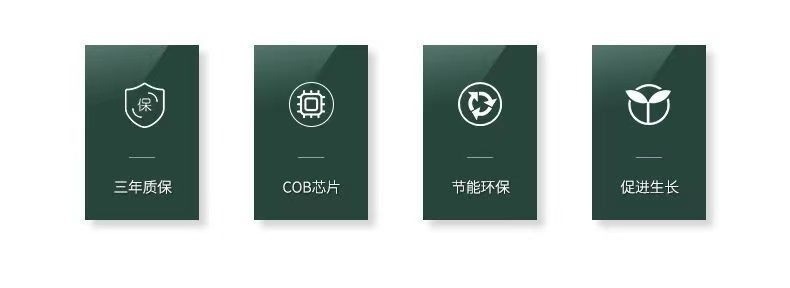 b554e721-96cf-4fb6-b6fe-332a6c6fda02.jpe