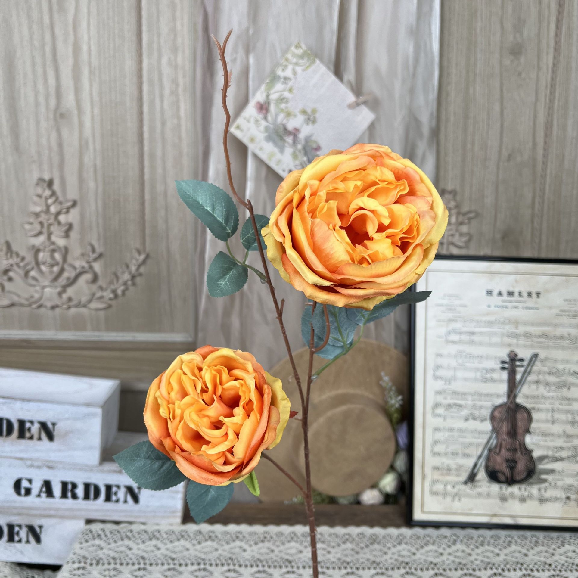 TY-2 헤드 오스틴-오렌지