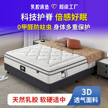 五星级酒店工程弹簧床垫 儿童天然护脊云感棉 家用精细黄麻床垫