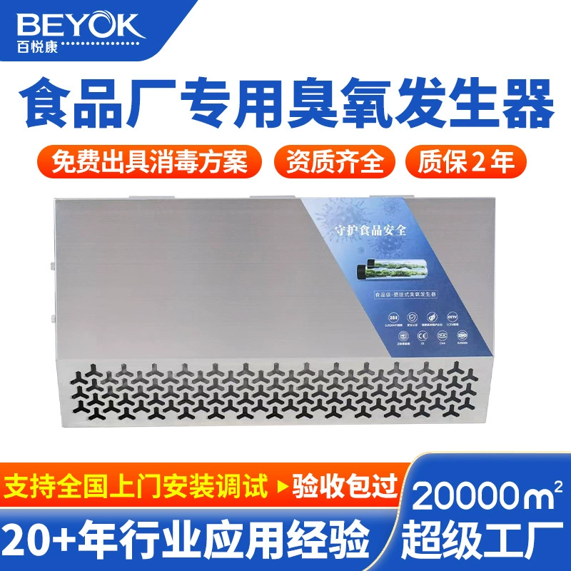 Baiyuekang GQO-V пищевой завод стерилизатор детский сад кухонное дезинфекционное оборудование 10 г настенный генератор озона