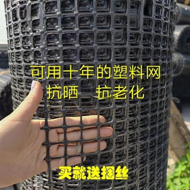 圈地鹅·围栏网菜地玉米鱼塘批鸡鸭塑料网隔离网果园栅栏养殖加厚