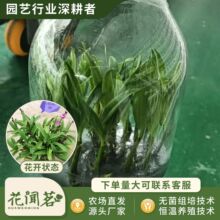 ����ʯ����ˮʯ��1001ƿ���׳ɻ�M��С���҃������Ի�������r��