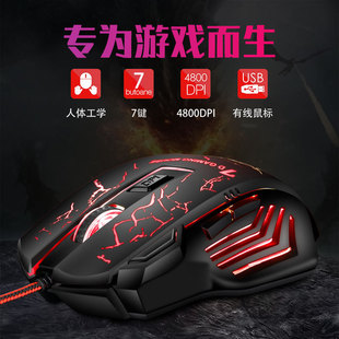 �S��ֱ�N �羳��� 7�I�Α�����Ųʺ�����늸����u�������X7