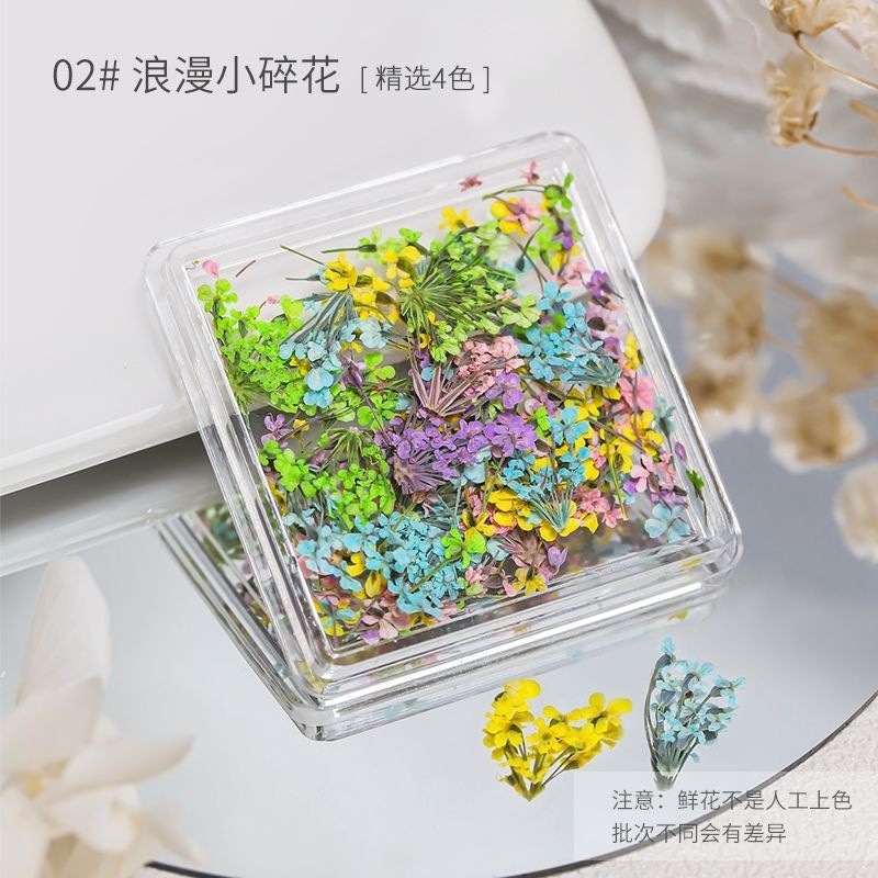 일본식 드라이플라워 2 #