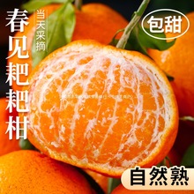 �Ĵ���Ҋ�ҰҸ����θ�10�����rˮ�����Ӯ����������˸̳���Ӱ��]