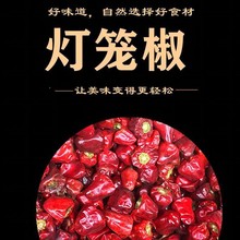 2025新货贵州灯笼椒草莓椒微辣特香贵州特产火锅飘锅麻辣香锅500g