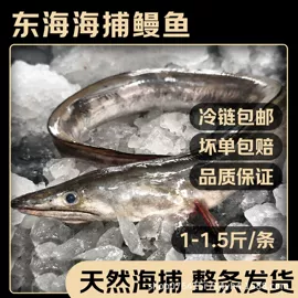 鱼类;鱼类零食;虾类