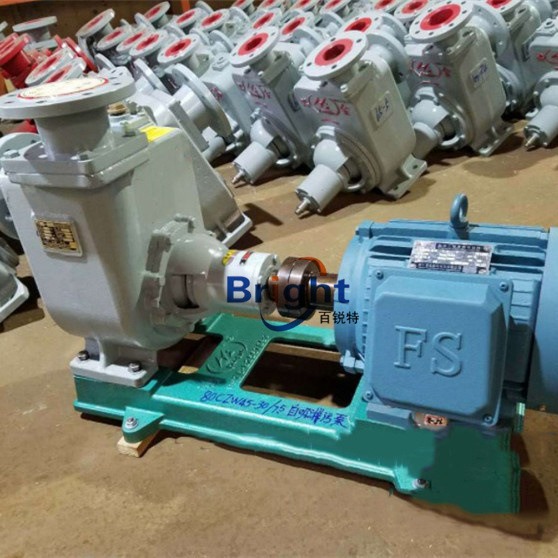 40CWZ-6船用卧式自吸离心泵 救生艇用水泵 CCS船检 380V/220V