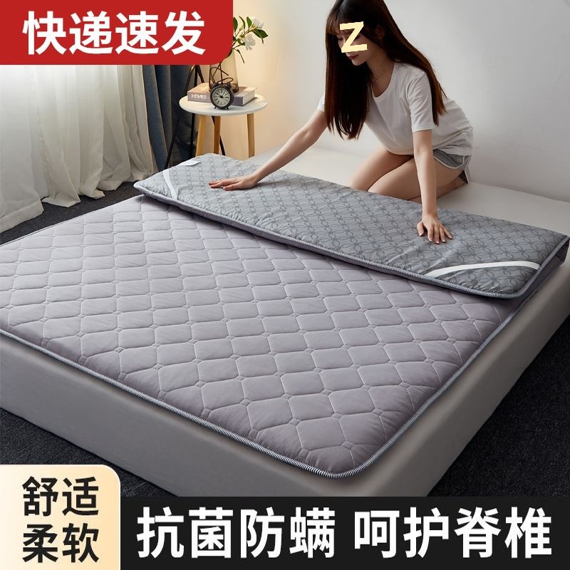 Mattress Soft Cushion Mattress Pad Double Home Protective Pad Thin Floor Sleeping Pad Non-Slip Student Dormitory
