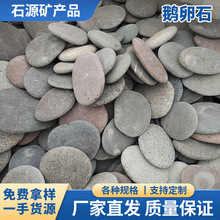 ZʯLʯ^ͯʯLʯƬʯɫxƽdiyTfʯ