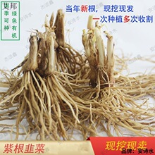 �ϸ��²˸��F�ھ²���С���~��²˼t���ļ��Ų�ˊ�^�Nֲ�²�����