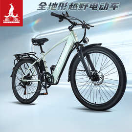 凤凰电动自行车通勤新国标锂电26寸变速休闲代步车助力轻便电瓶车