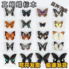 ������˱��[����������x�˱�չ��W���������նYƷ ͸�����b