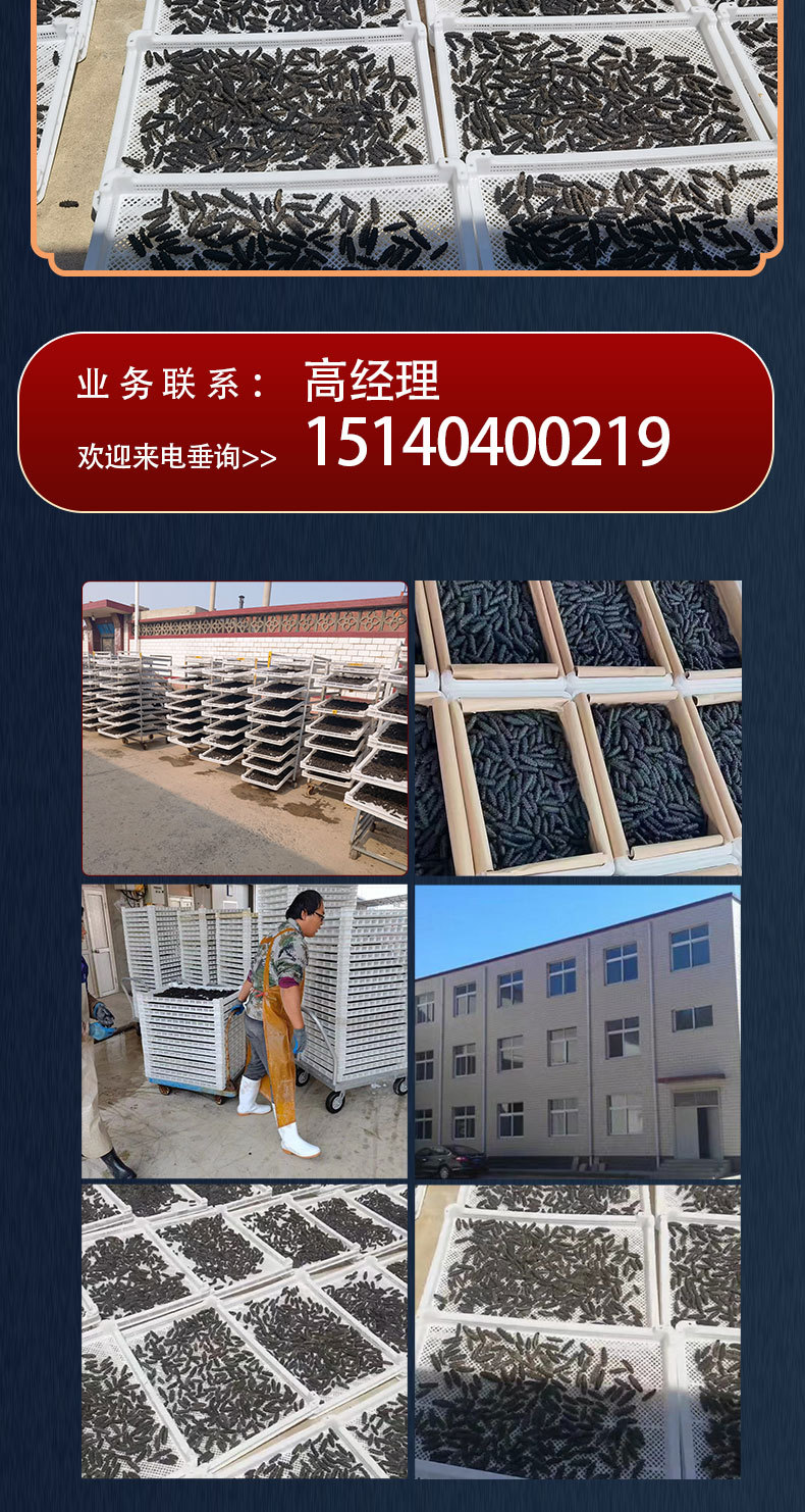 参王详情_08.jpg