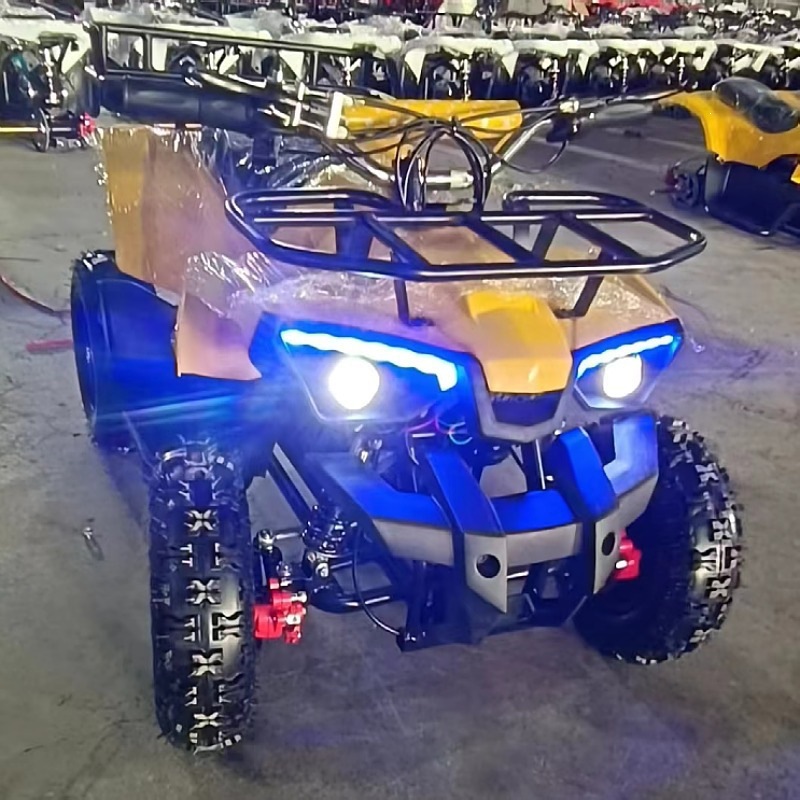 Little Warrior Atv, Electric Start 49Cc All-Terrain Four-Wheel Atv for Children's Park Entertainment and Rental Use