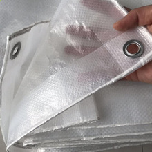 透明樱桃树盖布防雨防风果园透光篷布130克