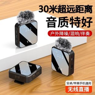 Wireless Lavalier F15 Microphone for Live Streaming and Video Recording, Little Bee Amplifier with Noise Reduction, One-To-Two Adapter