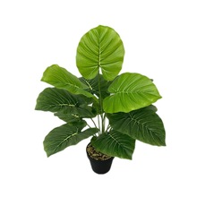 ����Gֲ����PVC��ˮ�^�􎧗l�y��̖����҃���٘�����b�����