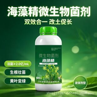 ���徫΢�������500g/ƿ���������S�~׃�G�ٻ��ٹ����Sֱ�N���l